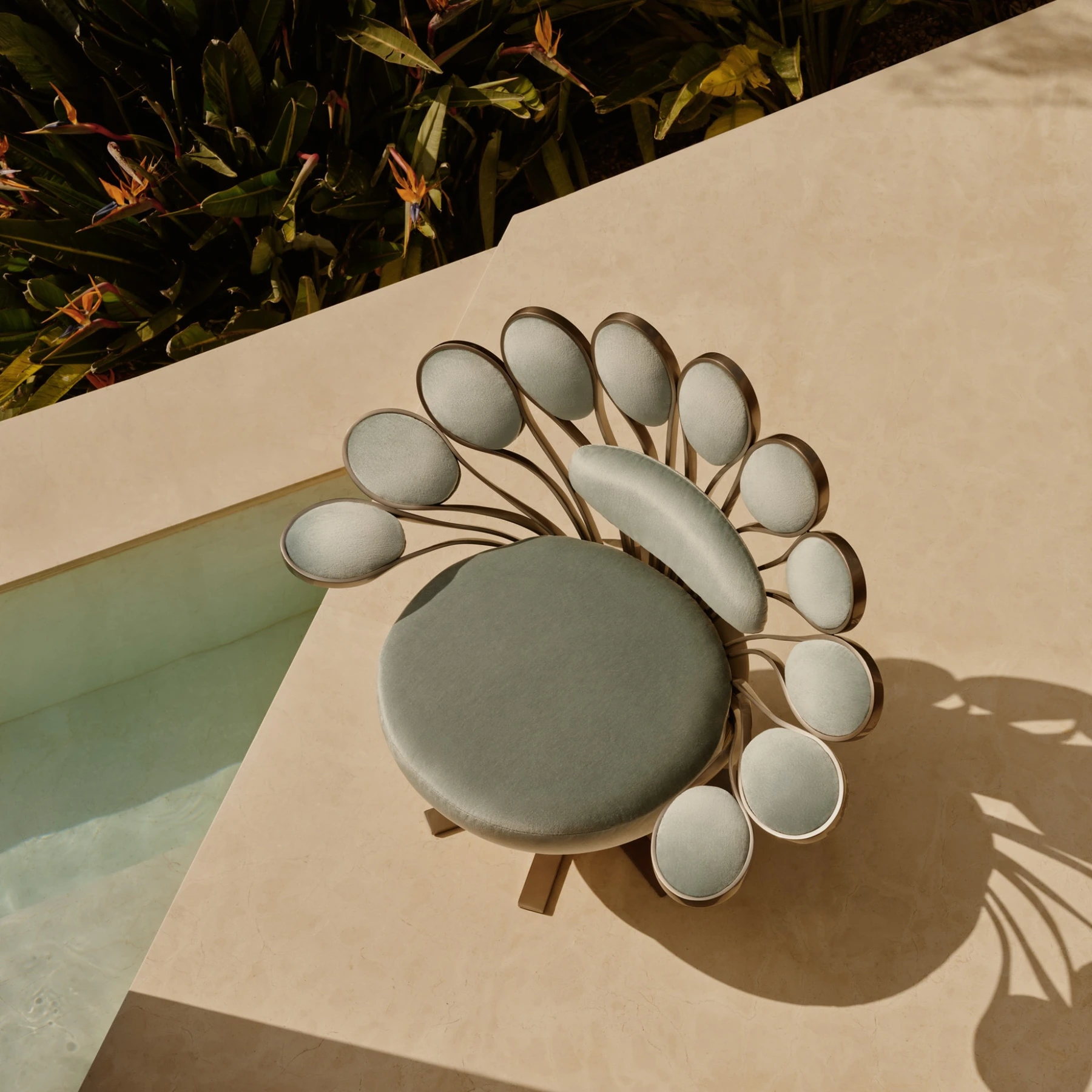 Visionnaire Pavone Armchair
