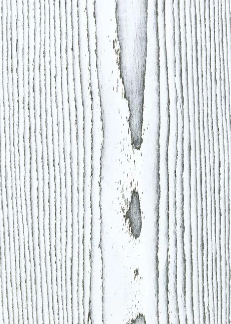 Caleidolegno