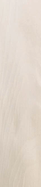 Birch