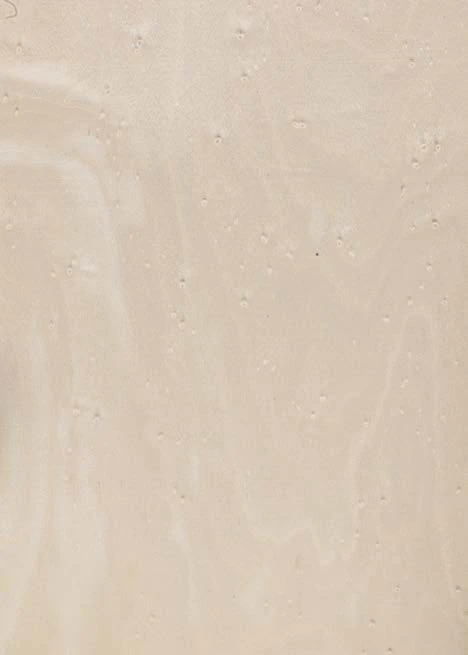 Bird's Eye Maple