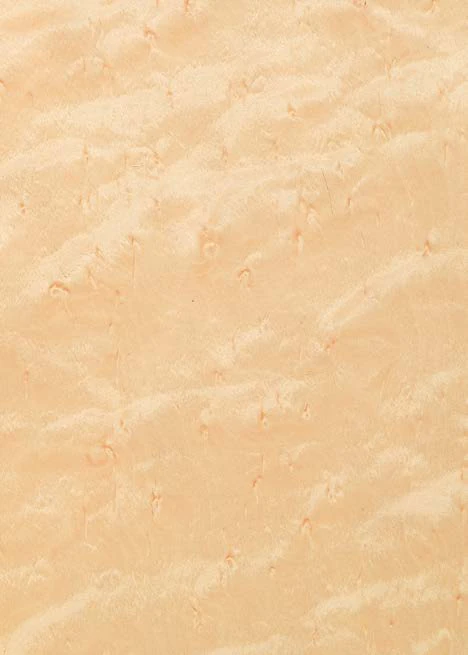 Bird's Eye Maple
