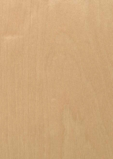 Birch