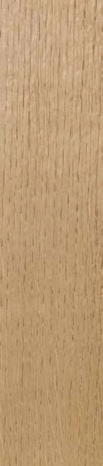 Oak Medullary Ray