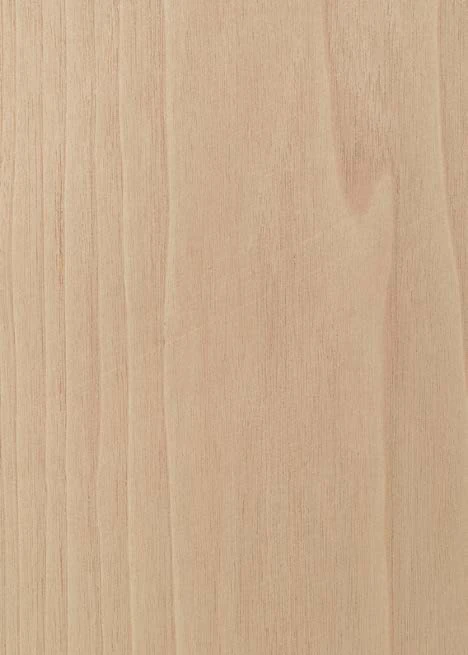 American Walnut